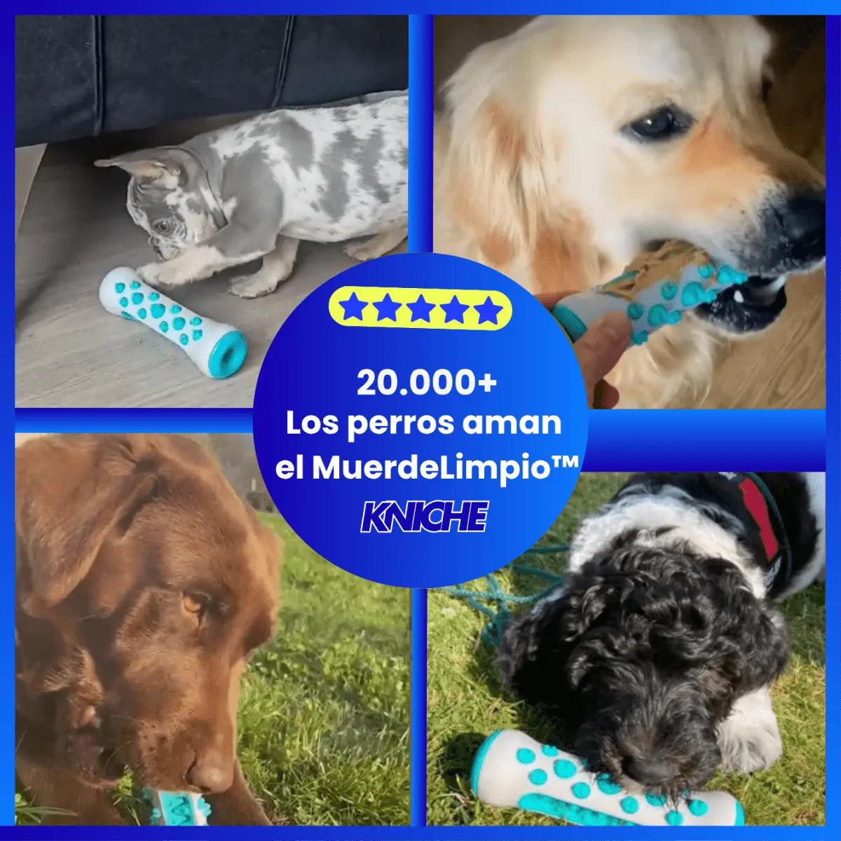 MuerdeLimpio™ - KNICHE