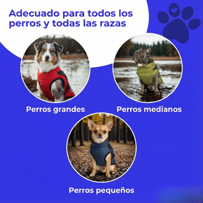 Abrigo de invierno 3 en 1