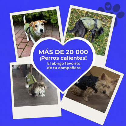 Abrigo de invierno 3 en 1