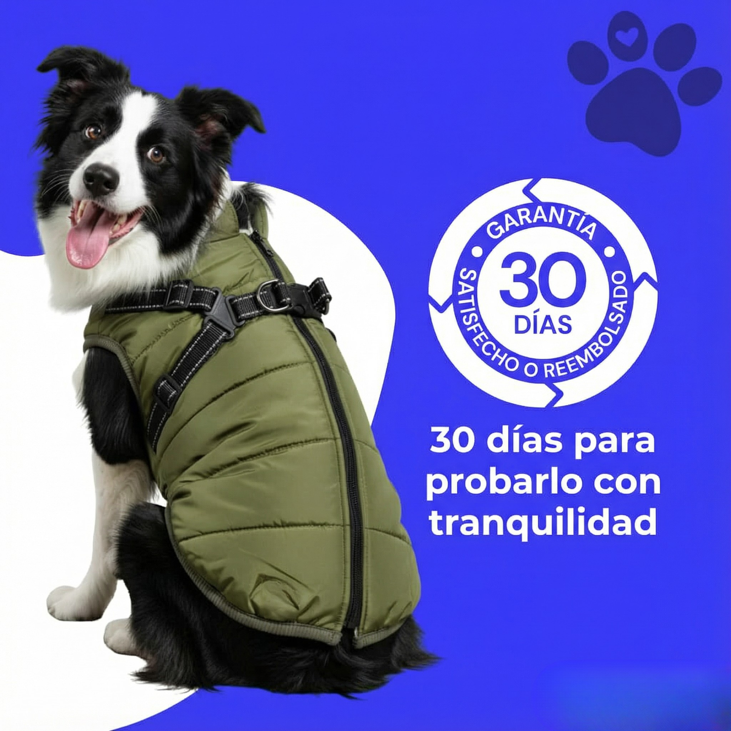 Abrigo de invierno 3 en 1