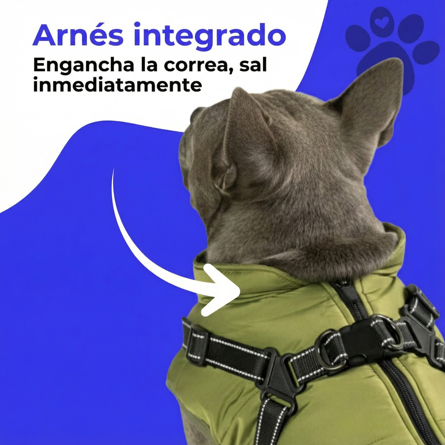 Abrigo de invierno 3 en 1