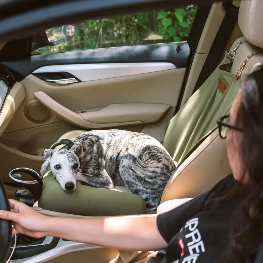 Asiento de Coche para Perros Grandes con Cojines de Viaje y Seguridad para el Asiento Trasero – Chessboard Lounge - KNICHE