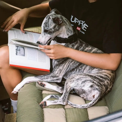 Asiento de Coche para Perros Grandes con Cojines de Viaje y Seguridad para el Asiento Trasero – Chessboard Lounge - KNICHE