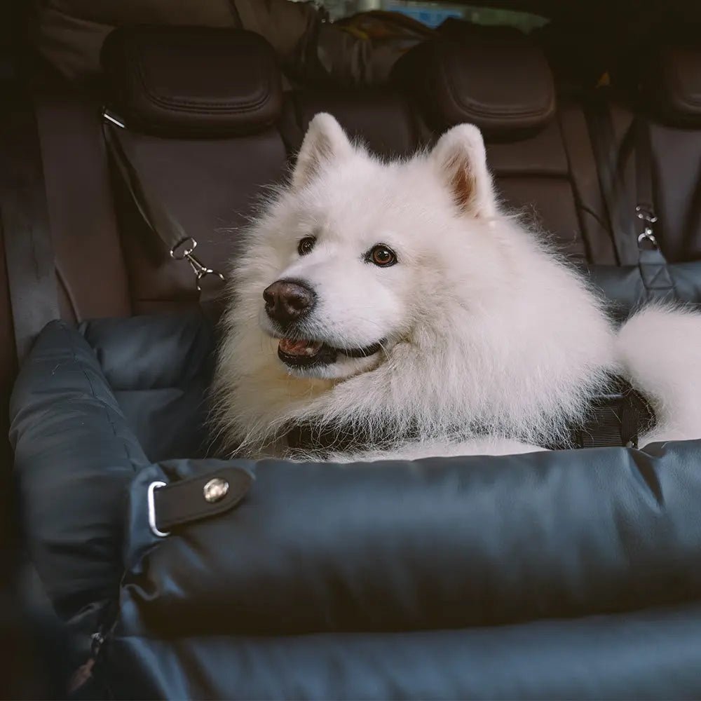 Asiento Elevado Deluxe Grande para Perros en Cuero Sintético – Explorer edition - KNICHE