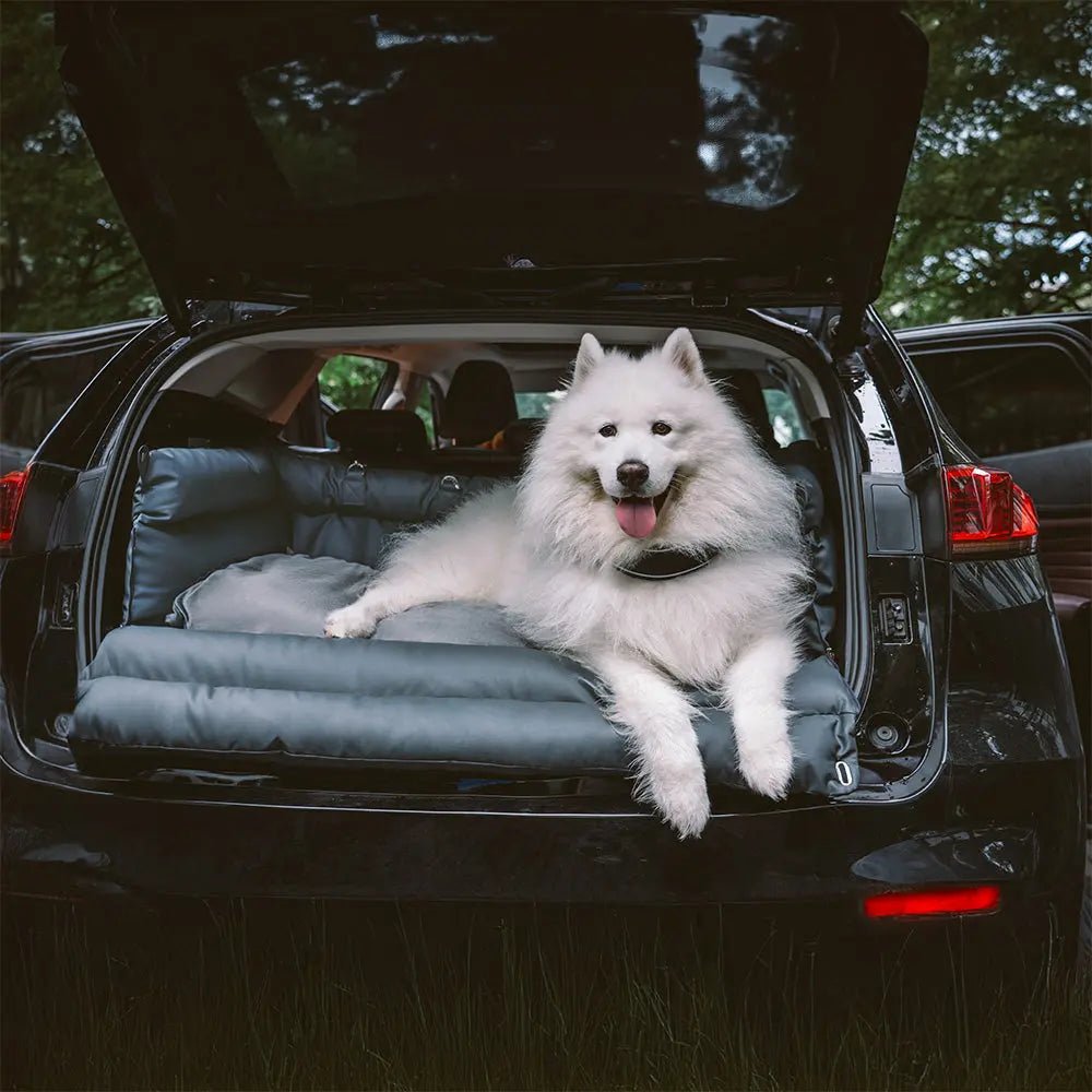 Asiento Elevado Deluxe Grande para Perros en Cuero Sintético – Explorer edition - KNICHE
