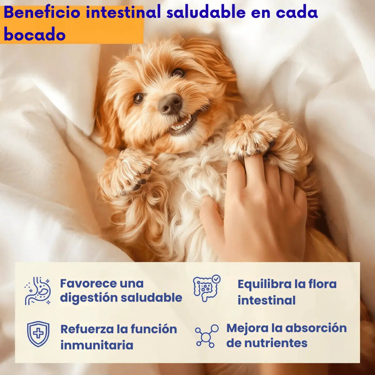 Bocaditos blandos probióticos para perros (120 unidades) - KNICHE