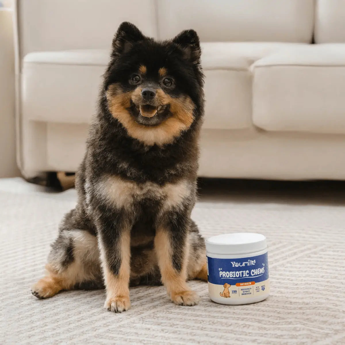 Bocaditos blandos probióticos para perros (120 unidades) - KNICHE