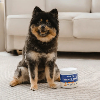 Bocaditos blandos probióticos para perros (120 unidades) - KNICHE