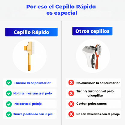 Cepillo Rápido - KNICHE
