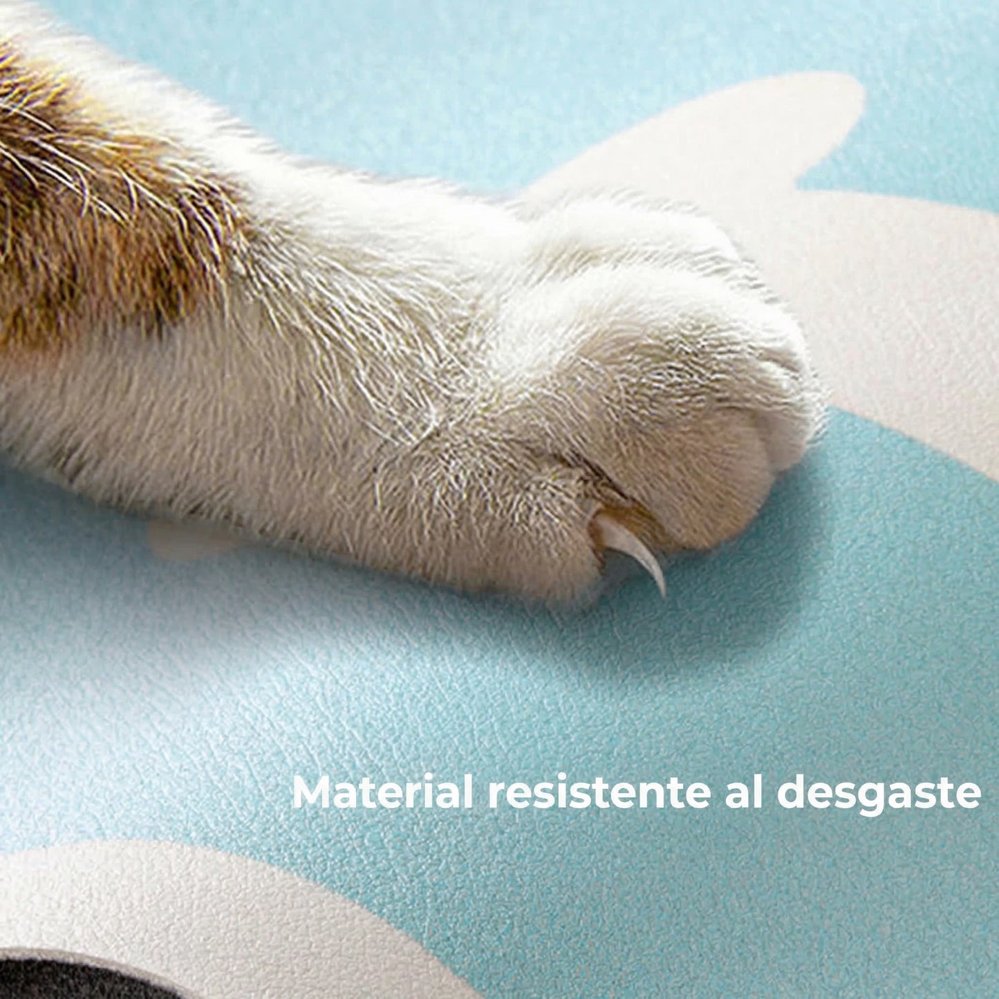 Alfombrilla absorbente de secado rápido y antideslizante para alimentación de mascotas