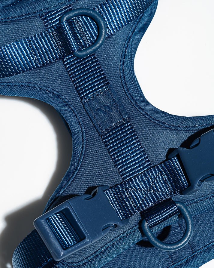 Kit de Paseo - KNICHE