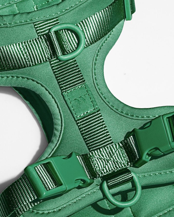 Kit de Paseo - KNICHE