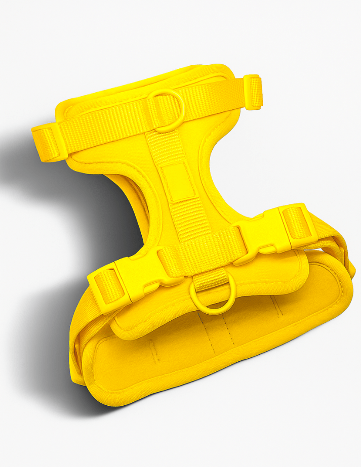 Kit de Paseo - KNICHE