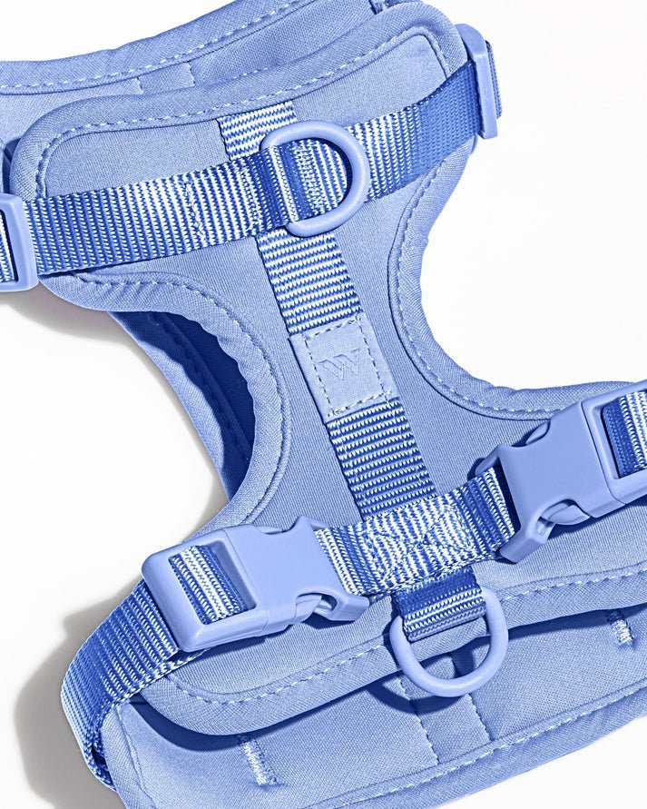 Kit de Paseo - KNICHE