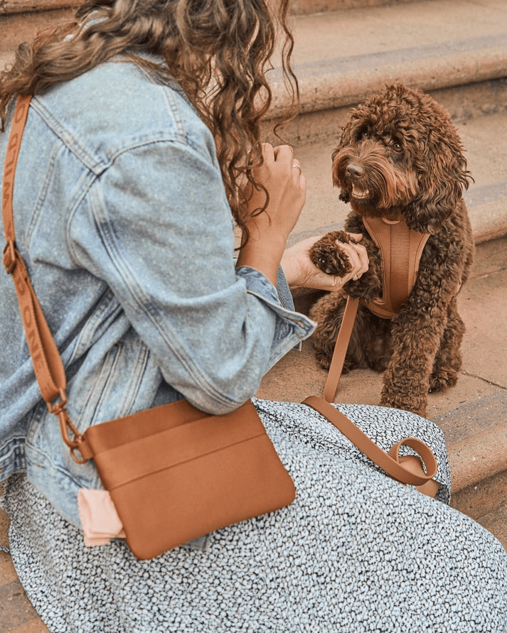 Kit de Paseo - KNICHE