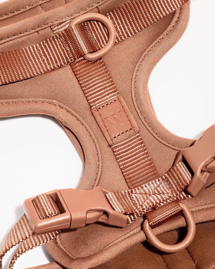 Kit de Paseo - KNICHE