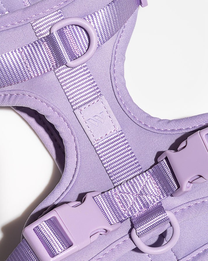 Kit de Paseo - KNICHE