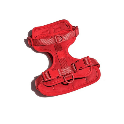 Kit de Paseo - KNICHE