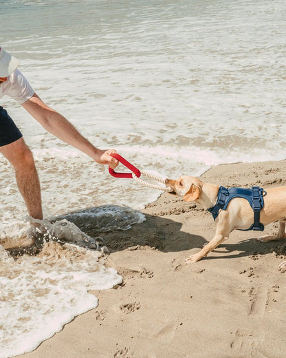 Kit de Paseo - KNICHE