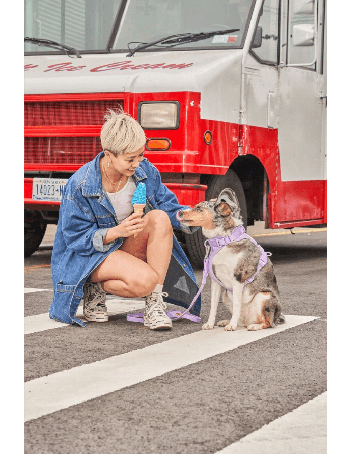 Kit de Paseo - KNICHE