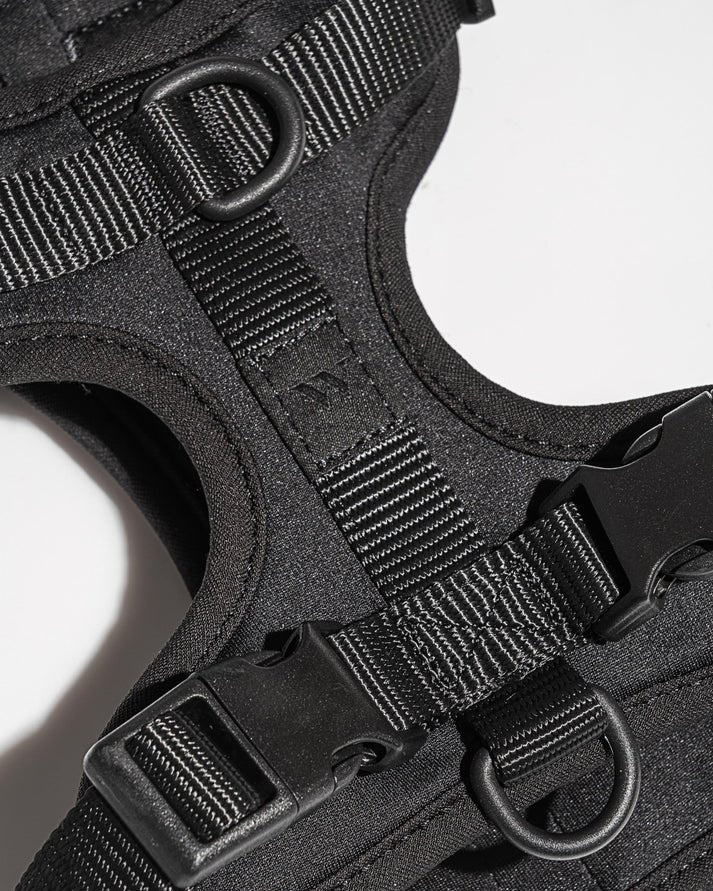 Kit de Paseo - KNICHE