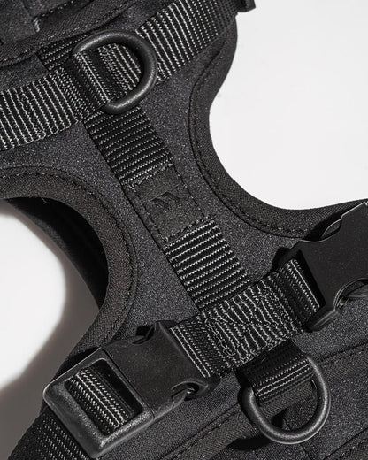 Kit de Paseo - KNICHE