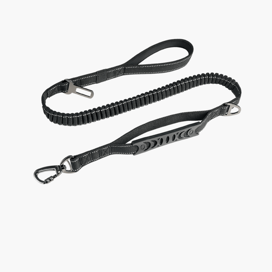 Laisse élastique anti - traction - KNICHE