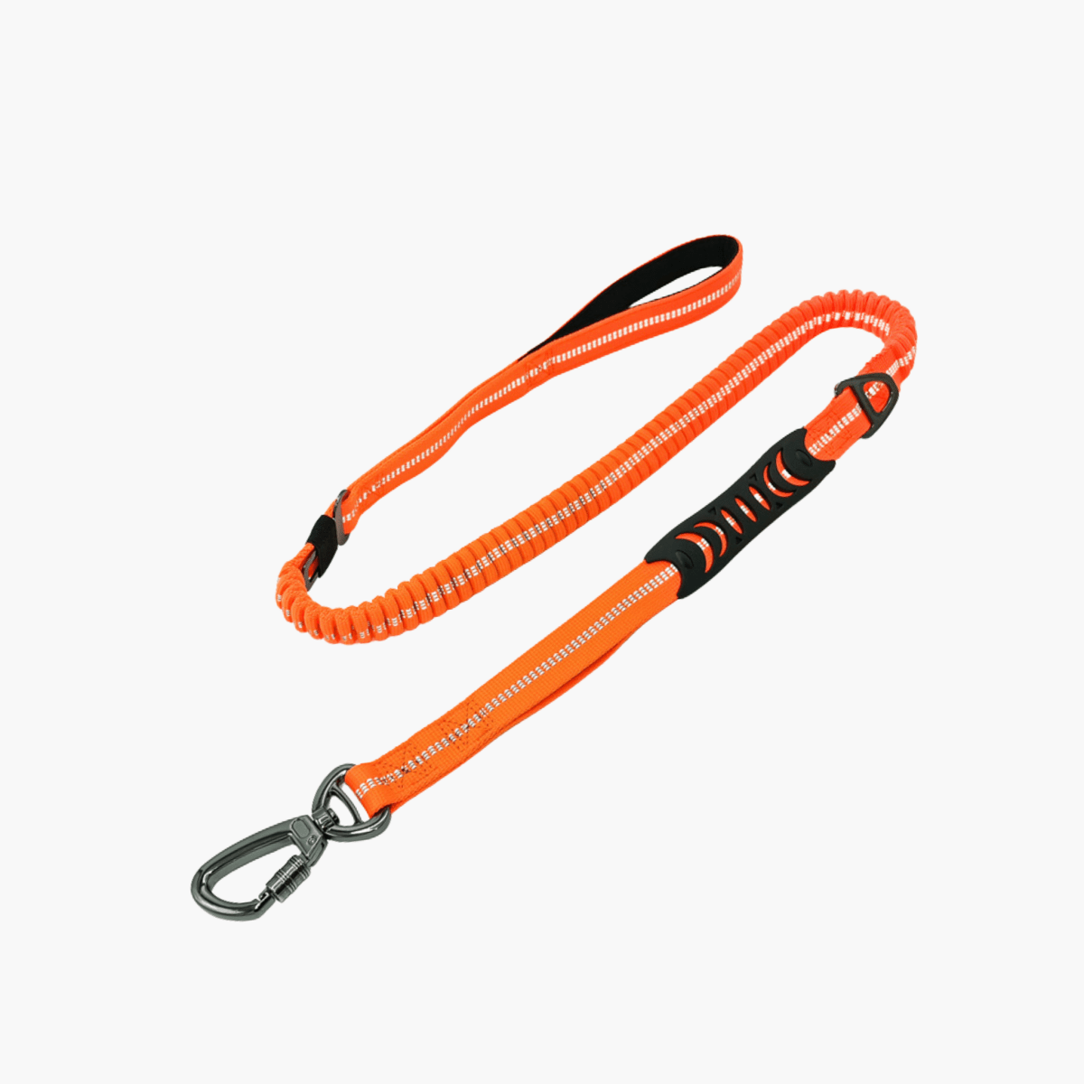 Laisse élastique anti - traction - KNICHE