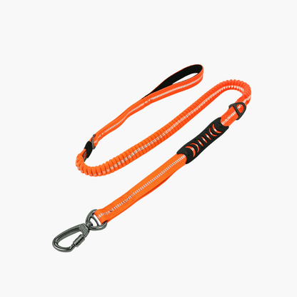 Laisse élastique anti - traction - KNICHE