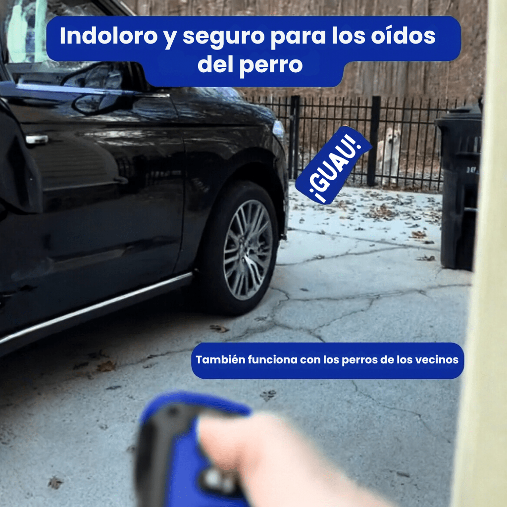 MaestroCalma™ Pro - KNICHE