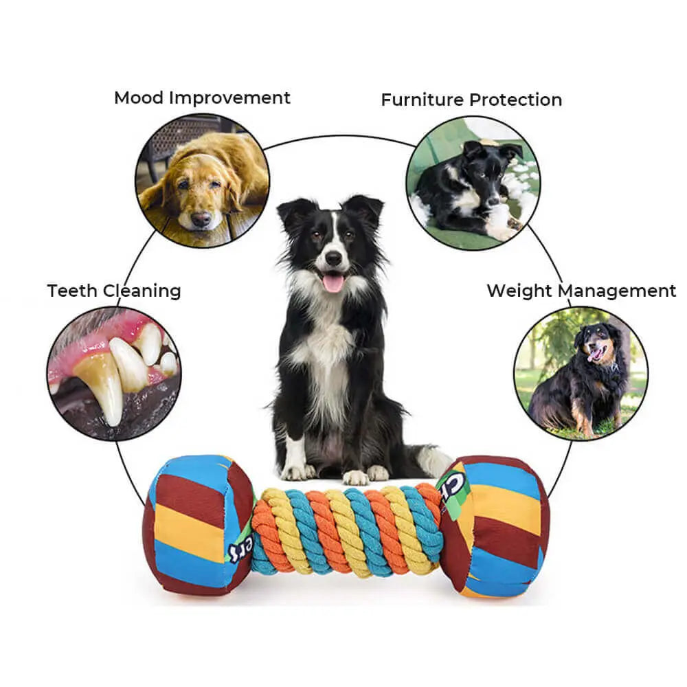 Mancuerna Arcoíris con Cuerda, Chirrido y Alta Durabilidad - KNICHE