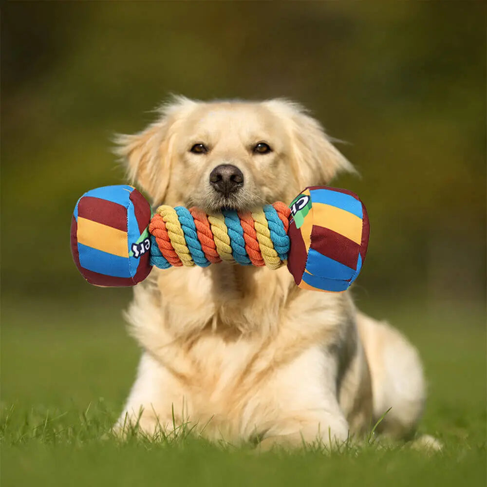 Mancuerna Arcoíris con Cuerda, Chirrido y Alta Durabilidad - KNICHE