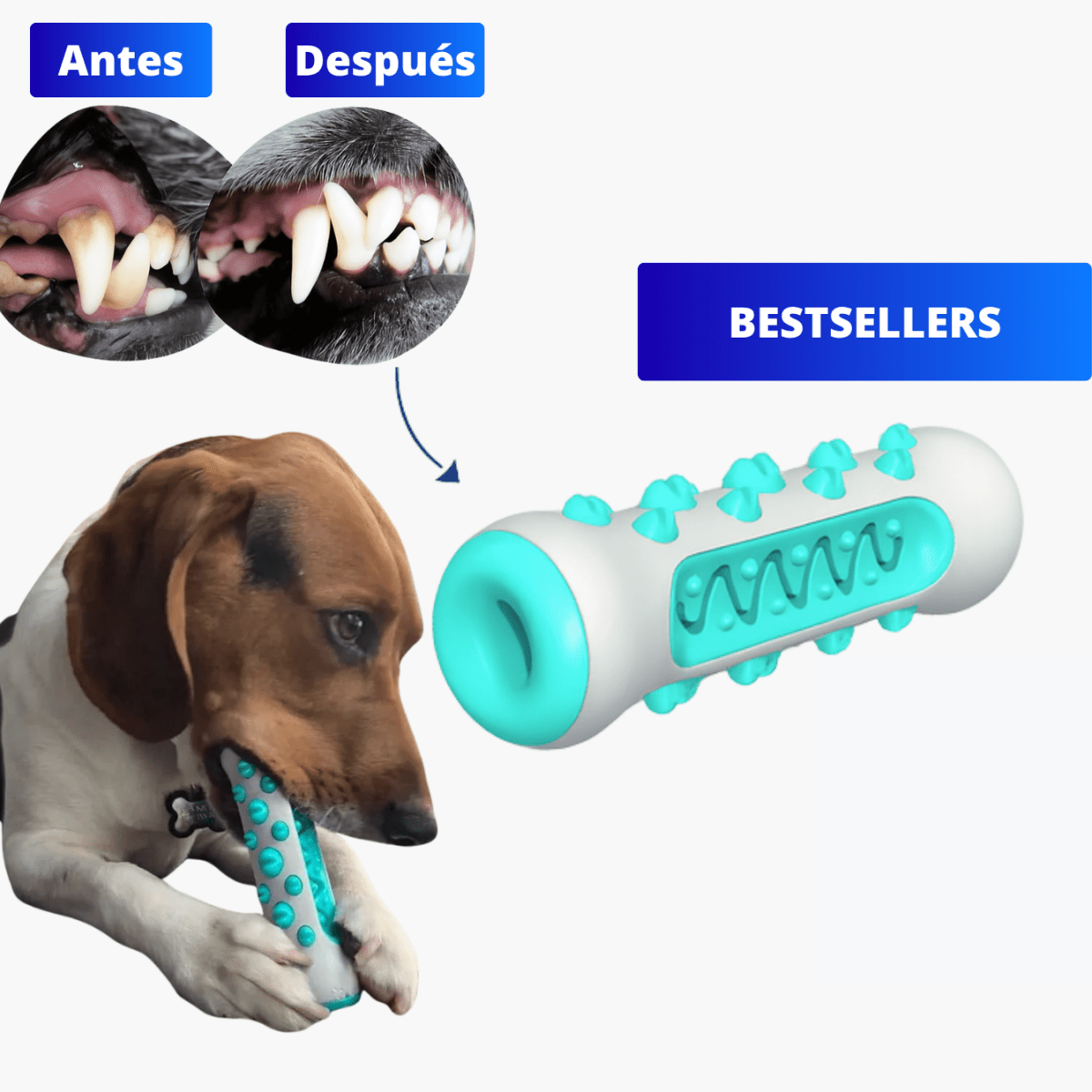 MuerdeLimpio™ - KNICHE