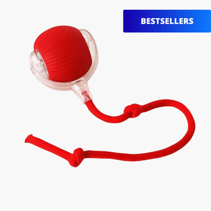 Pelota Turbo™ – Diversión a toda velocidad 🐾 - KNICHE