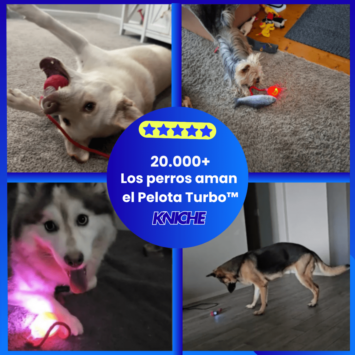 Pelota Turbo™ – Diversión a toda velocidad 🐾 - KNICHE